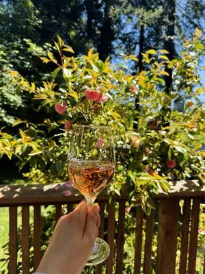 Beauregard Vineyards by null