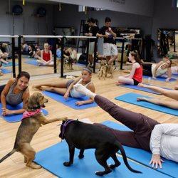Pilates Absession - Our Pups and Pilates event!