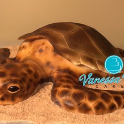 Vanessa Ross Cakes - Sea turtle for graduation in Conservation Biology