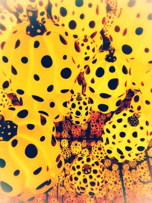 YAYOI KUSAMA Museum by null