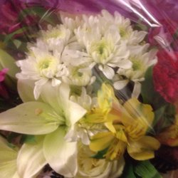 Ithaca Flower Shop - (2/2)