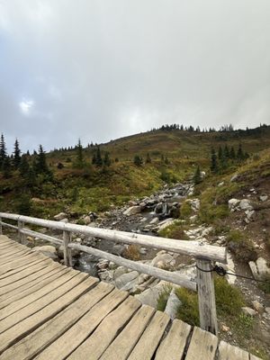 Myrtle Falls by null