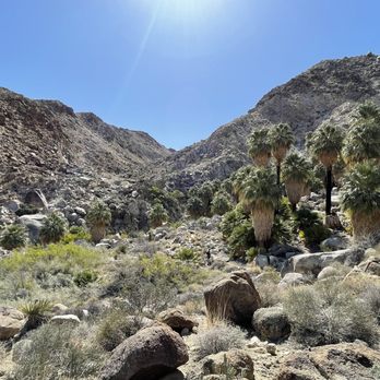 Joshua Tree National Park - 49 palms Oasis - INCREDIBLE scenery at the destination. Would love to see it with some water some time - Parks Near Me - Joshua Tree, California Joshua Tree National Park - 49 palms Oasis - INCREDIBLE scenery at the destination. Would love to see it with some water some time - Parks Near Me - Joshua Tree, California