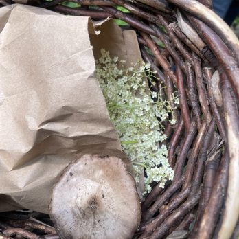 No Taste Like Home - Some harvest - Food Tours Near Me