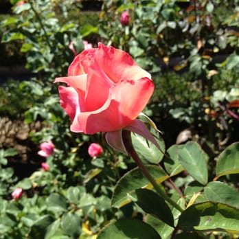 Filoli - Botanical Gardens Near Me - Woodside, California