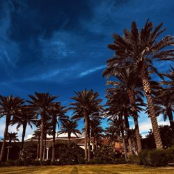 Indian Wells Tennis Garden - My Happy Place