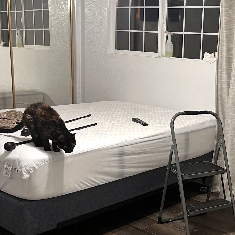 PB Handyman - The closet doors were not tall enough when my Ex installed them.  There was a 2 inch opening above the doors. Pedro fixed for me! - Handyman Near Me