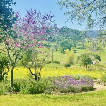 Imagery Estate Winery - Wineries Near Me - Glen Ellen, California