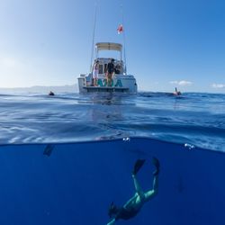 Go Adventure Hawaii