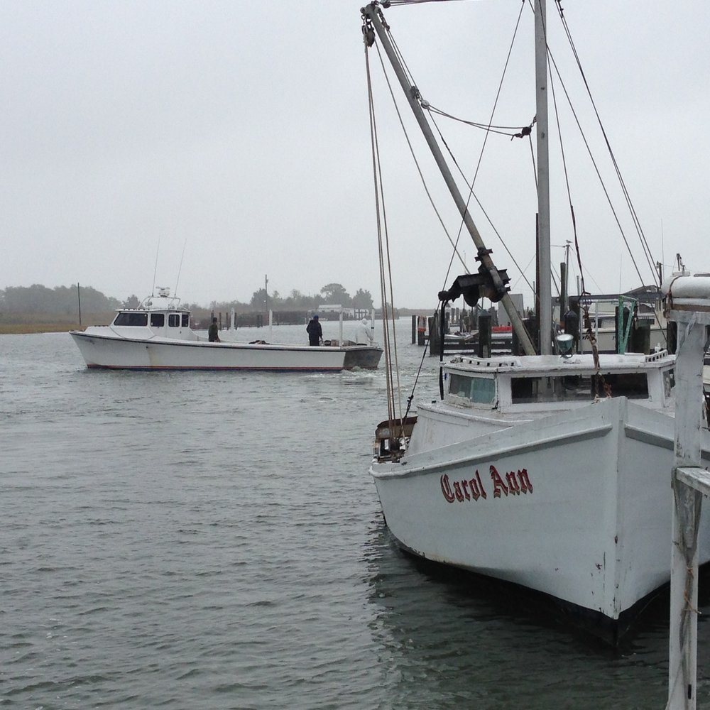 Smith Island Inn - Part of the fishing fleet used by the watermen of Smith Island. Crabs abd Oysters! - Bed & Breakfast Near Me - Smith Island, Maryland