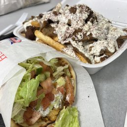 Chicken shawarma and Gyro Flame Fries. I don't know how I fit all of this inside my body in one sitting, but it happened.
