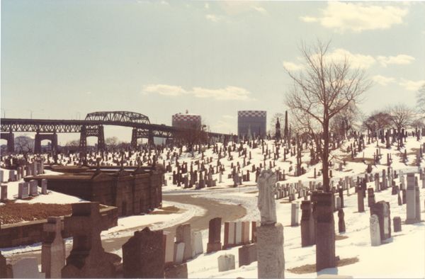Calvary Cemetery by null