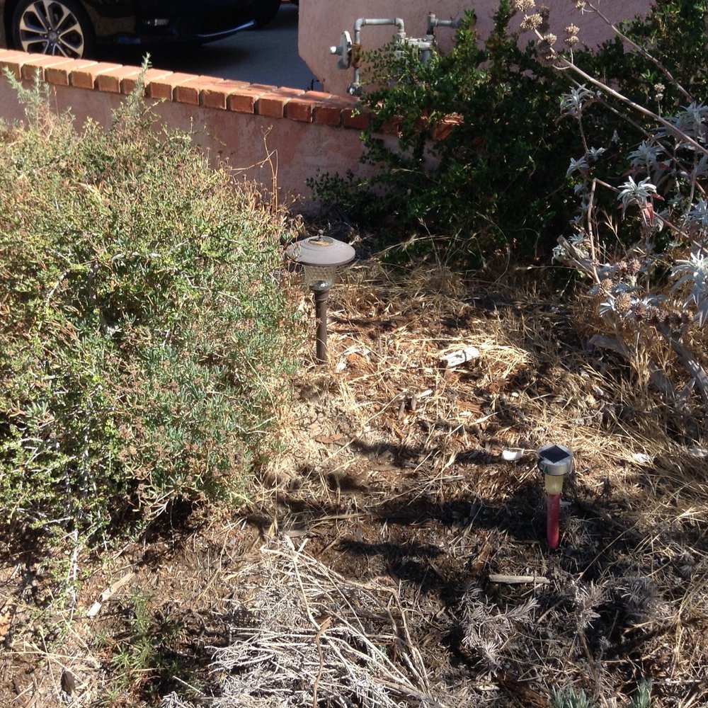 Before photo