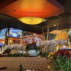 Kao Gang - Beautiful orchids!