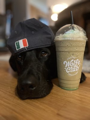 Wolfe Club Coffee Roasters by null