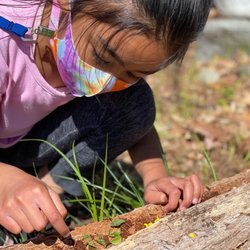 2nd Nature Academy - Inquiry and exploration is at the heart of a 2nd Nature Academy education.