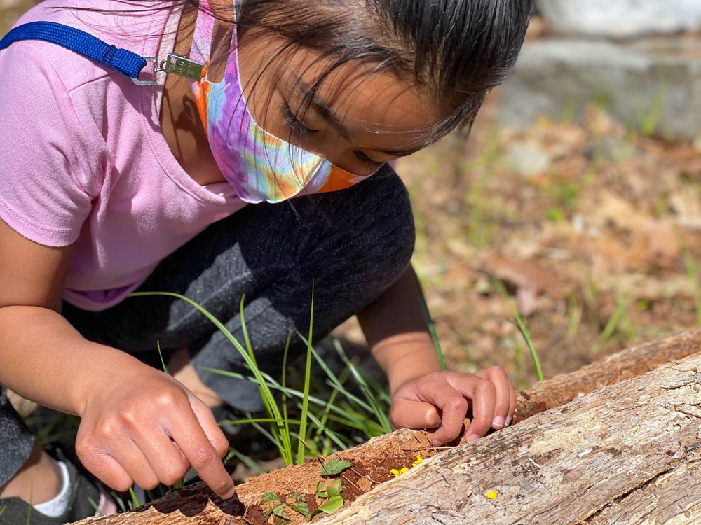 2ND NATURE ACADEMY Updated May 2024 10 Photos 10 Groton Rd