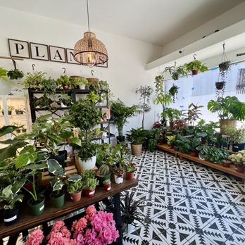 SarahCotta Plants - Shop interior - Nurseries & Gardening Near Me - Glendale, California SarahCotta Plants - Shop interior - Nurseries & Gardening Near Me - Glendale, California
