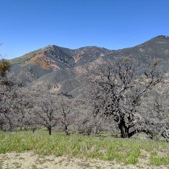 Los Padres National Forest - Parks Near Me - Solvang, California