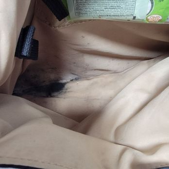 Danville Park Apartments - Mold found in my diaper bag, purses, unexpired foods. - Apartments Near Me - Danville, California Danville Park Apartments - Mold found in my diaper bag, purses, unexpired foods. - Apartments Near Me - Danville, California