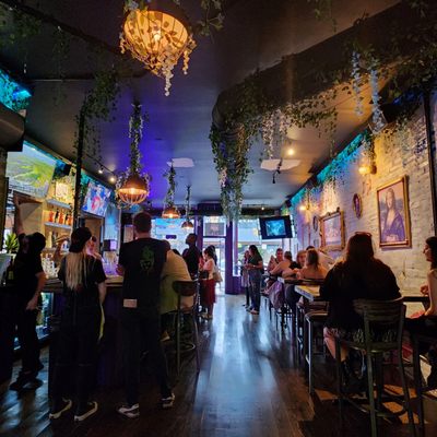 Neon Gardens by null