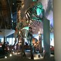 Photo of Naturalis