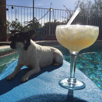Blue Wave Pools - Cocktails in the pool with my girl. - Pool Cleaners Near Me - Bonita, California Blue Wave Pools - Cocktails in the pool with my girl. - Pool Cleaners Near Me - Bonita, California