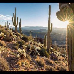 Photo of Nicole Franco Law Disability / Social Security - Scottsdale, AZ, US.