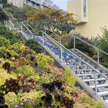 The 16th Avenue Tiled Steps - The 16th Avenue Tiled Steps - Local Flavor Near Me - San Francisco, California The 16th Avenue Tiled Steps - The 16th Avenue Tiled Steps - Local Flavor Near Me - San Francisco, California