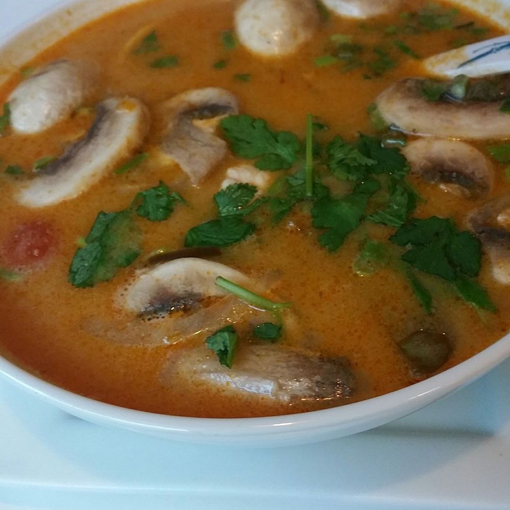 Tom Yum Cafe - Tom ka soup was excellent and stir fried pork belly and basil perfectly crunchy and spicy - Thai Near Me - Chicago, Illinois Tom Yum Cafe - Tom ka soup was excellent and stir fried pork belly and basil perfectly crunchy and spicy - Thai Near Me - Chicago, Illinois