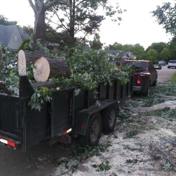 Tony's Tree Service - Tree Services Near Me Tony's Tree Service - Tree Services Near Me