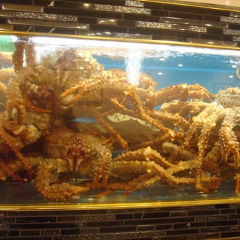 Congee Noodle House - Fresh out of the tank and onto your plate! - Noodles Near Me - Vancouver, British Columbia Congee Noodle House - Fresh out of the tank and onto your plate! - Noodles Near Me - Vancouver, British Columbia