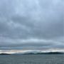 Photo of Douglas Lake Marina & Campground