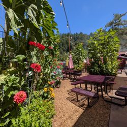 Planted garden