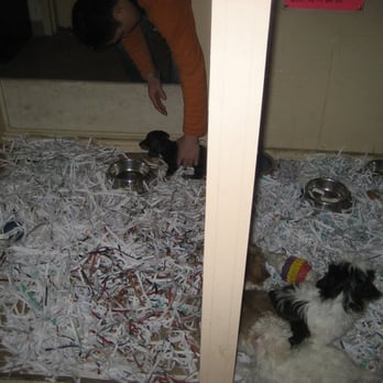 Pet Central - Pet Stores Near Me - San Francisco, California Pet Central - Pet Stores Near Me - San Francisco, California
