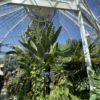 W W Seymour Conservatory - Inside - Botanical Gardens Near Me - Tacoma, Washington W W Seymour Conservatory - Inside - Botanical Gardens Near Me - Tacoma, Washington