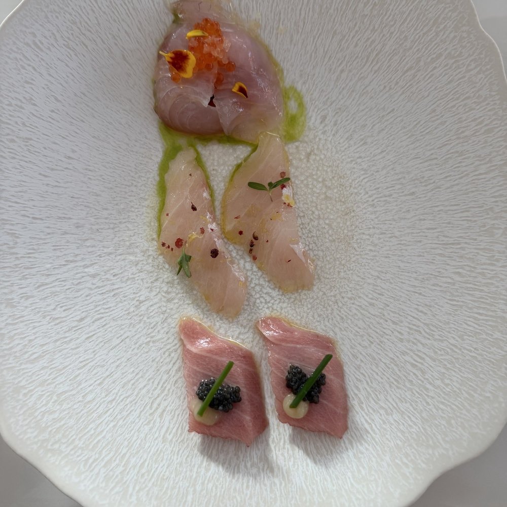Levant - Crudo del Día - Mediterranean Near Me - San Juan, Puerto Rico