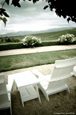 William Hill Estate Winery by null