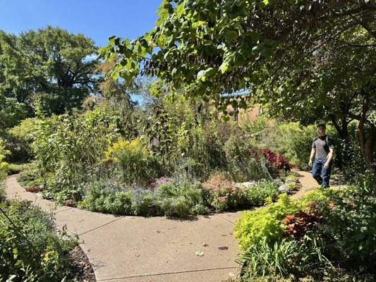 Washington University in St. Louis by null