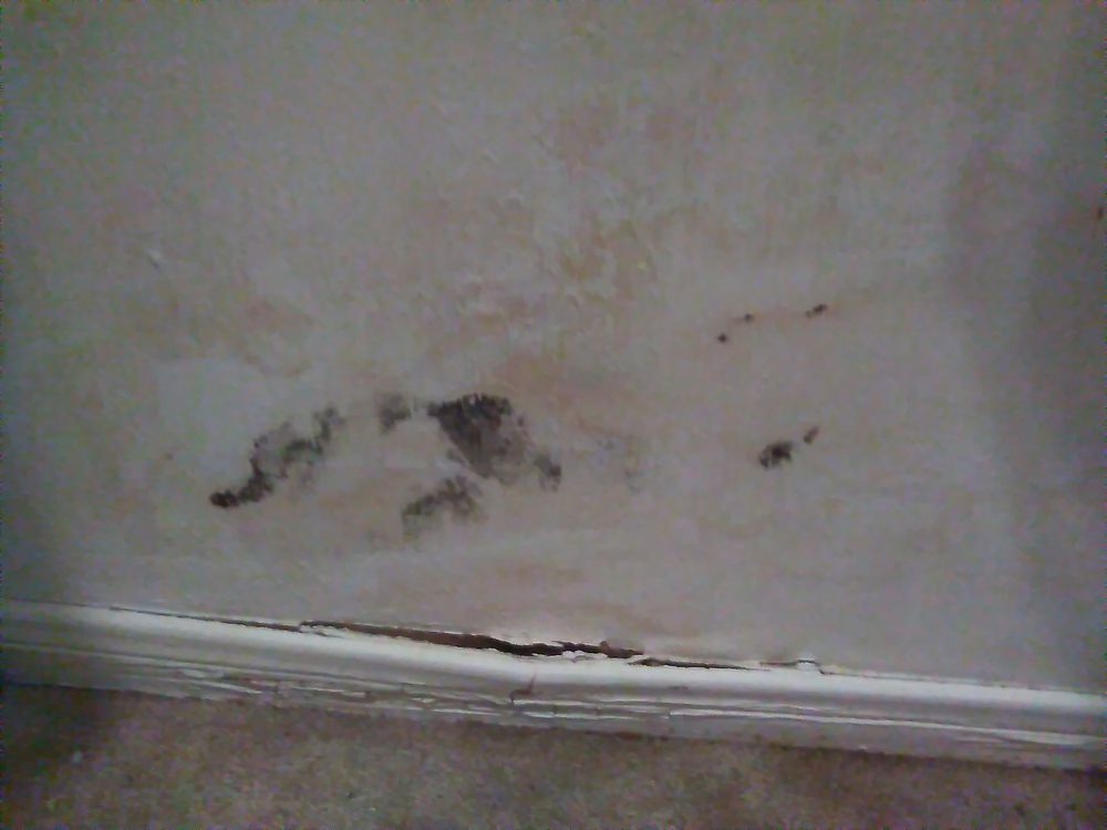 Slide of American Integrity Contracting