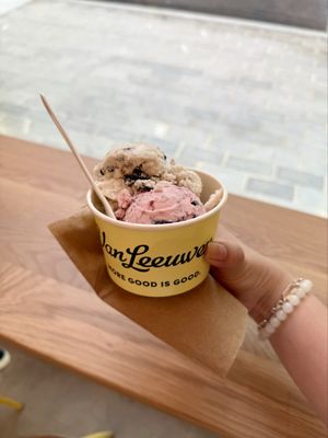 Van Leeuwen Ice Cream by null