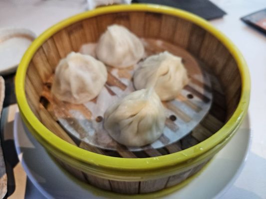 Juicy Dumplings by null