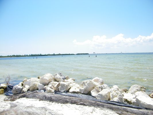 Caladesi Island State Park by null