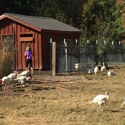 Harpers Ferry Family Farm