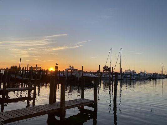 OSO at Bear Point Harbor - Orange Beach by null