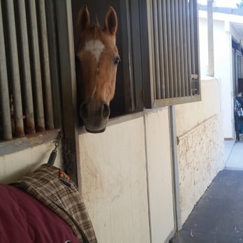 Bell Canyon Equestrian Center - Horseback Riding Near Me - Bell Canyon, California