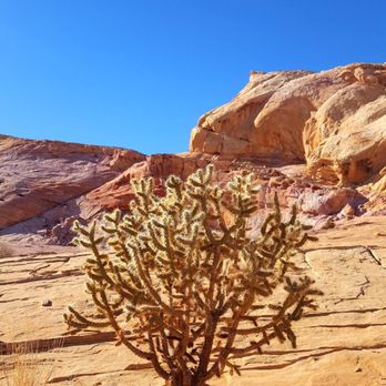 White Domes - Hiking Near Me - Overton, Nevada