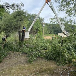 Lowery's Tree Service - Cutting a tree that was overhanging our house