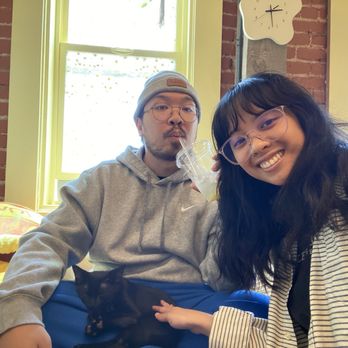 Nabi Cat Cafe - Themed Cafes Near Me - Santa Clara, California Nabi Cat Cafe - Themed Cafes Near Me - Santa Clara, California