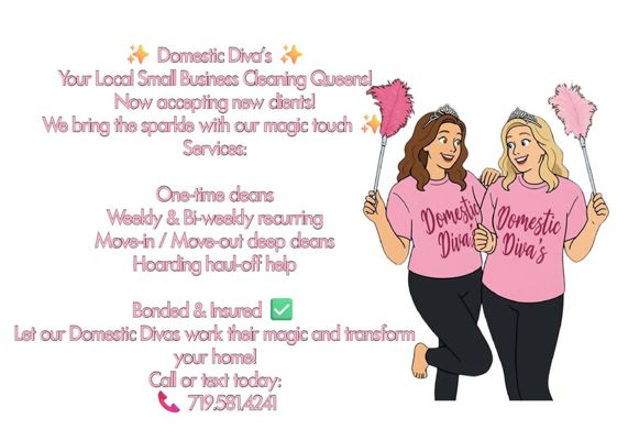 Domestic Diva's Cleaning on Yelp